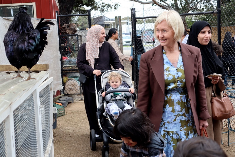 2025 Production: Year 1 Show