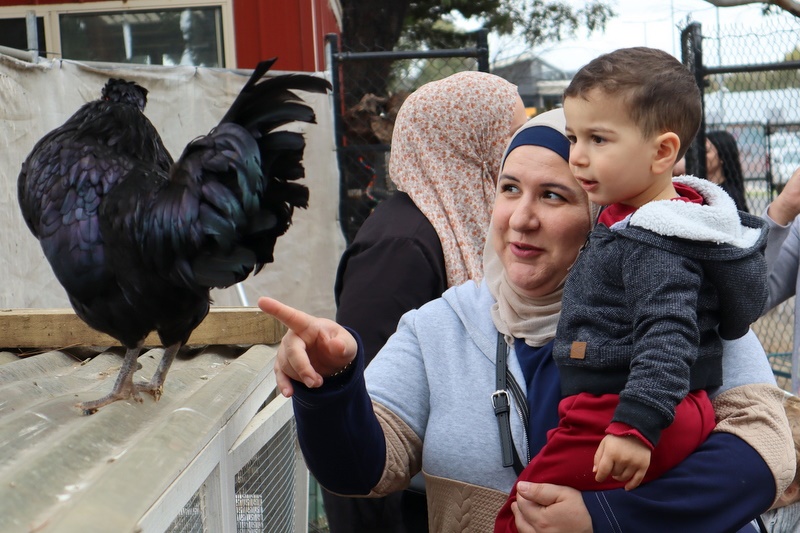 2025 Production: Year 1 Show