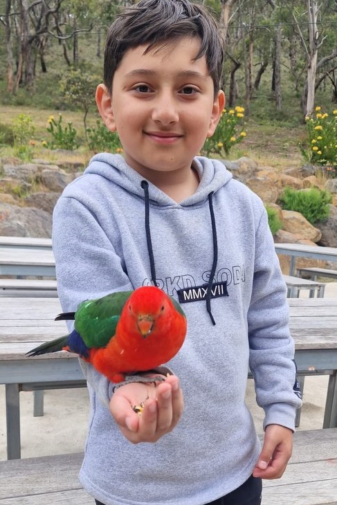 Year 5 Boys: Angahook Camp 2025