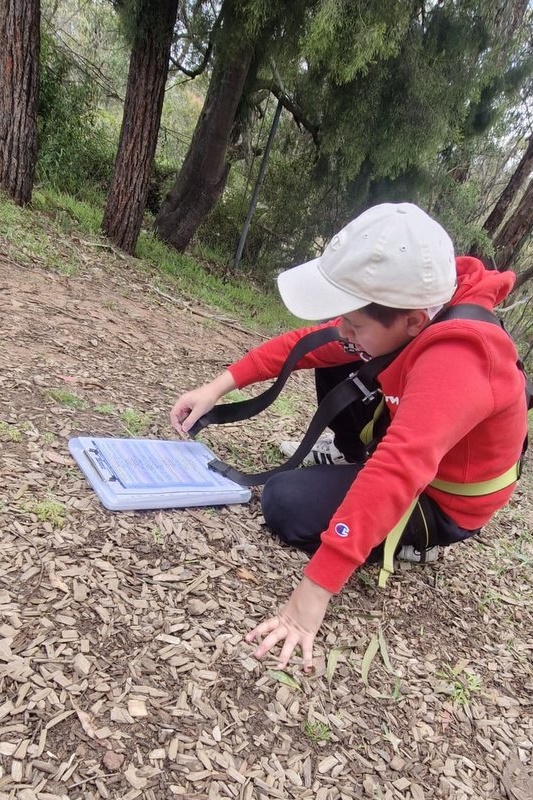 Year 5 Boys: Angahook Camp 2025
