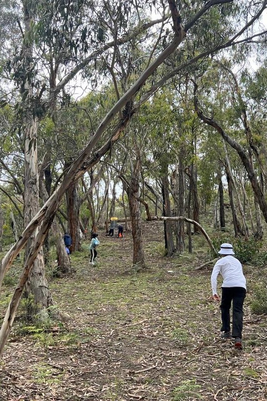 Year 5 Boys: Angahook Camp 2025