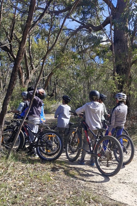 Year 5 Boys: Angahook Camp 2025