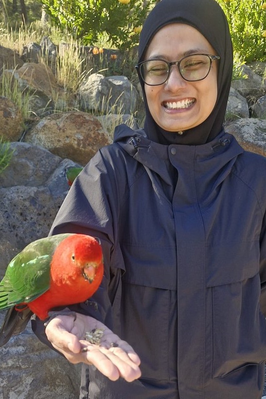 Year 5 Boys: Angahook Camp 2025