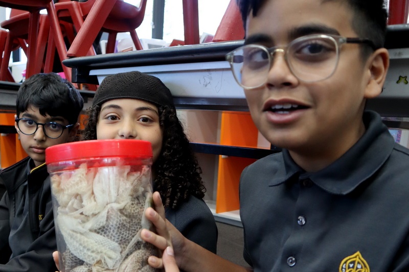 Year 4 Wildlife Xposure Incursion