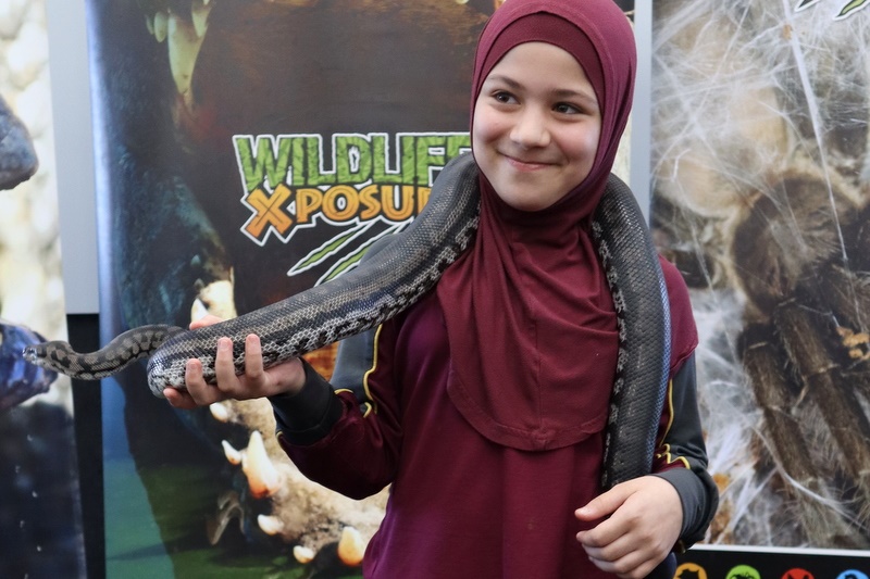 Year 4 Wildlife Xposure Incursion