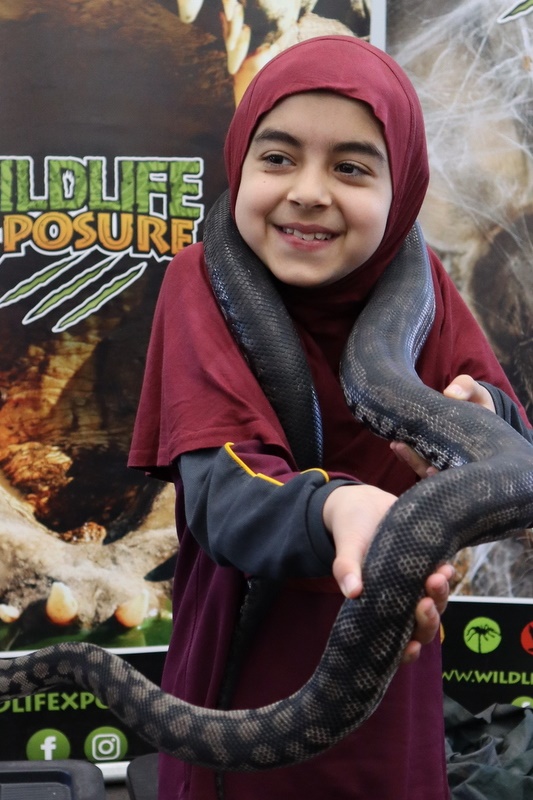 Year 4 Wildlife Xposure Incursion