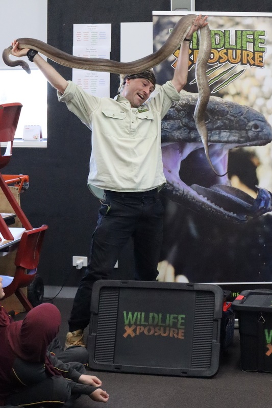 Year 4 Wildlife Xposure Incursion