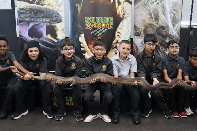 Year 4 Wildlife Xposure Incursion