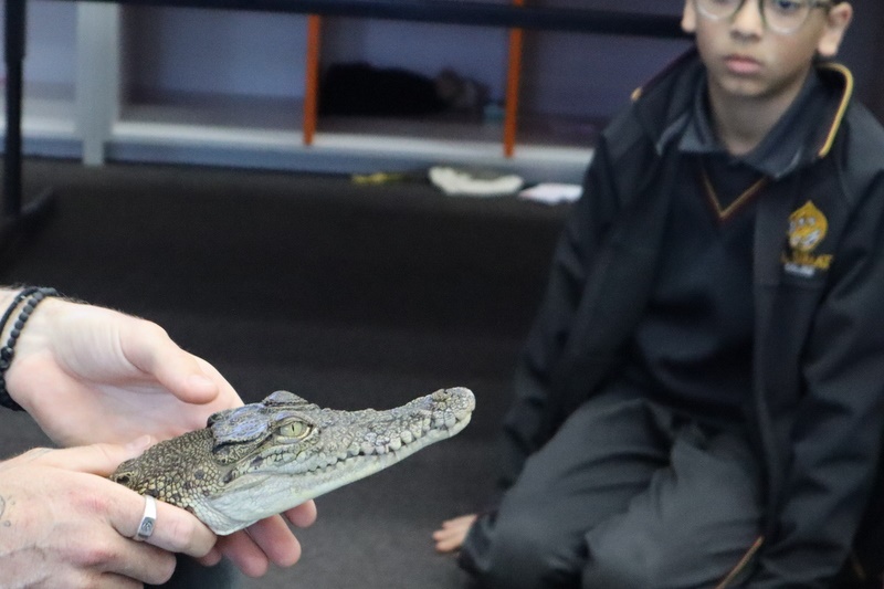 Year 4 Wildlife Xposure Incursion