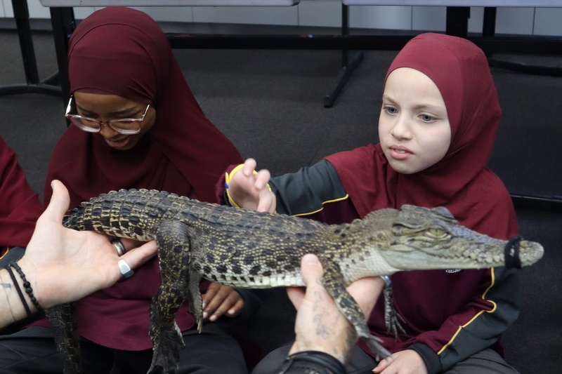 Year 4 Wildlife Xposure Incursion