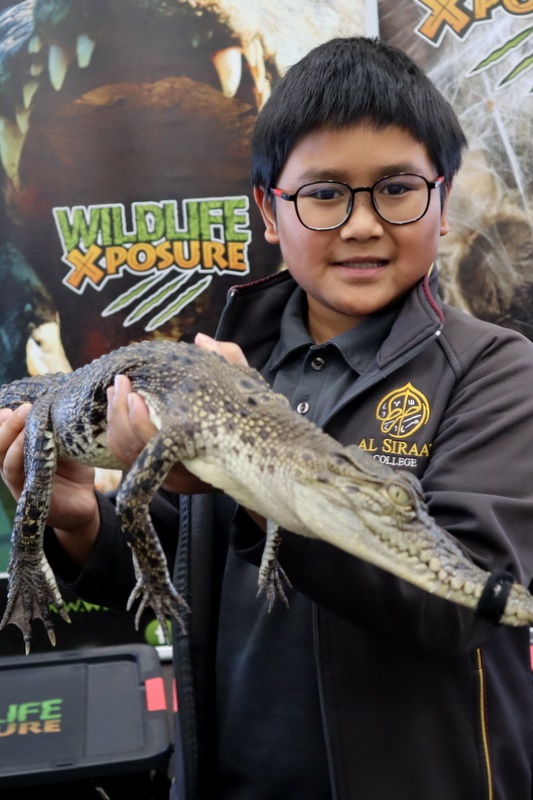 Year 4 Wildlife Xposure Incursion