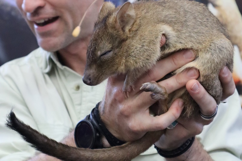Year 4 Wildlife Xposure Incursion