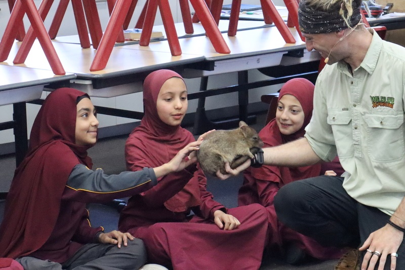 Year 4 Wildlife Xposure Incursion