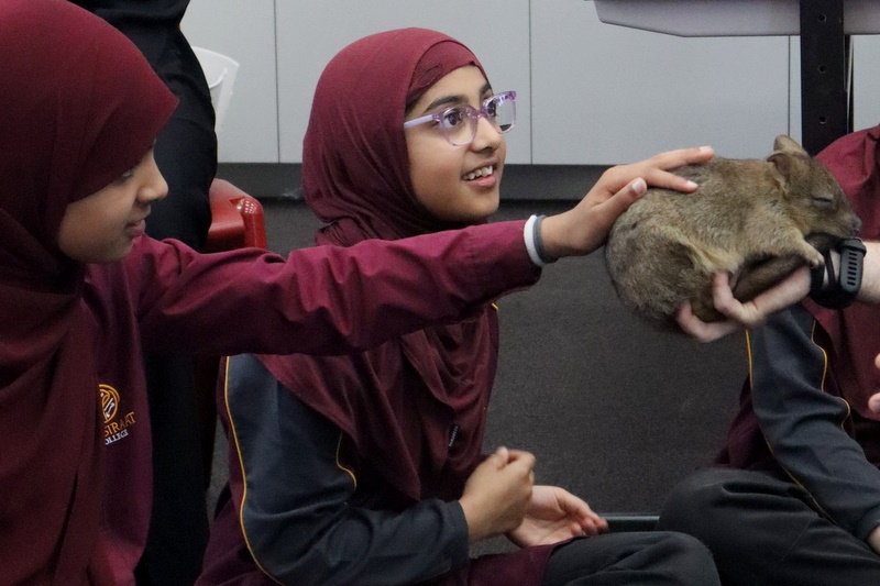 Year 4 Wildlife Xposure Incursion