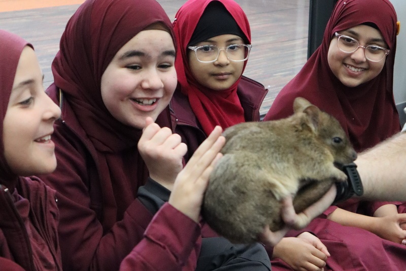 Year 4 Wildlife Xposure Incursion