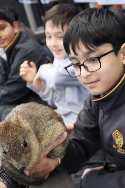 Year 4 Wildlife Xposure Incursion