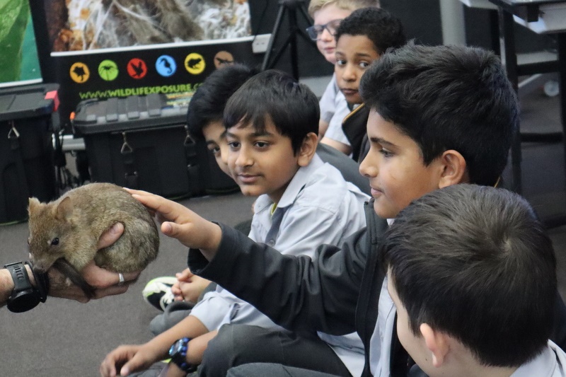 Year 4 Wildlife Xposure Incursion