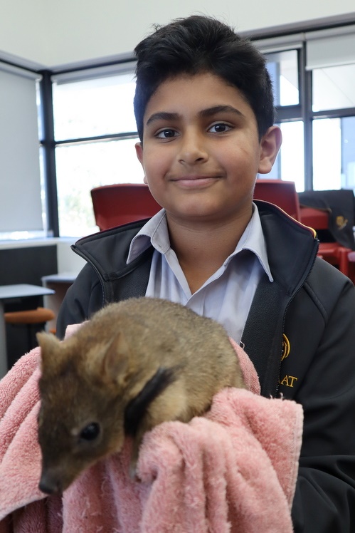 Year 4 Wildlife Xposure Incursion