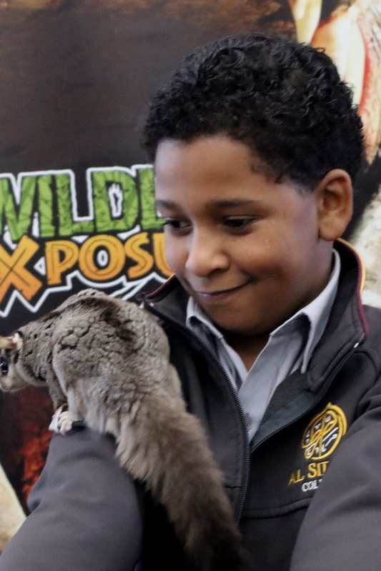 Year 4 Wildlife Xposure Incursion