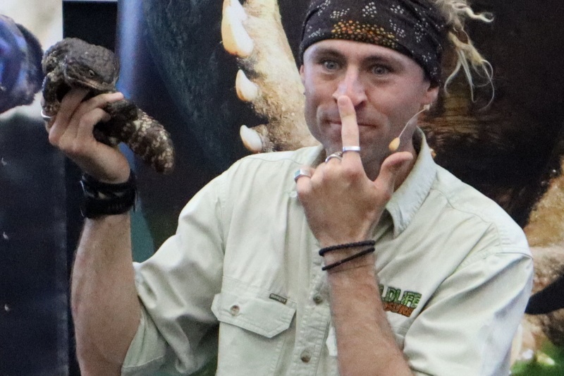 Year 4 Wildlife Xposure Incursion