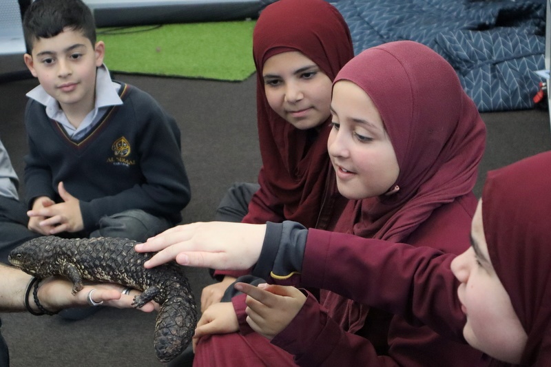 Year 4 Wildlife Xposure Incursion