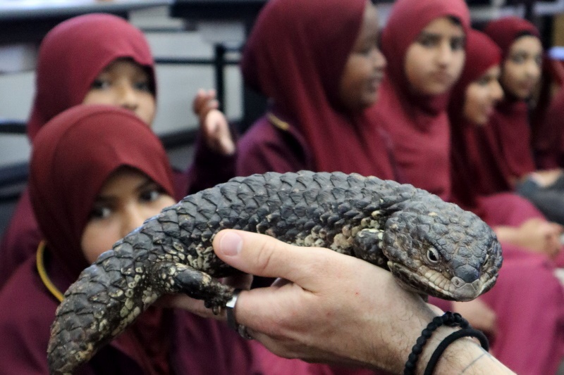 Year 4 Wildlife Xposure Incursion