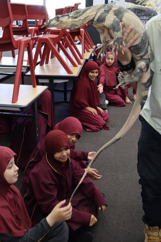 Year 4 Wildlife Xposure Incursion