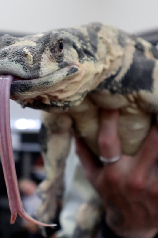 Year 4 Wildlife Xposure Incursion