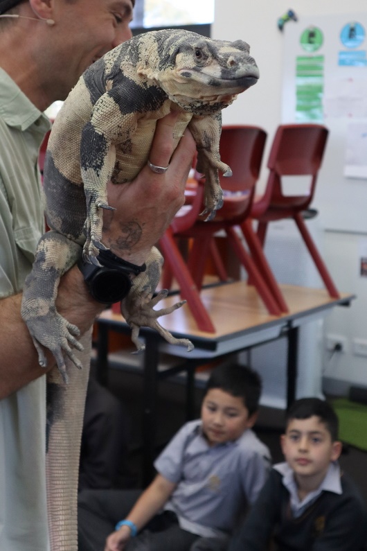 Year 4 Wildlife Xposure Incursion