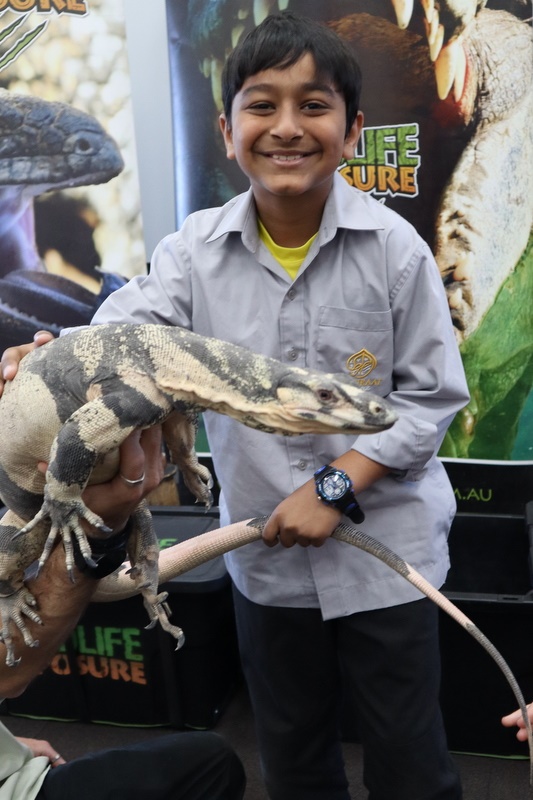 Year 4 Wildlife Xposure Incursion