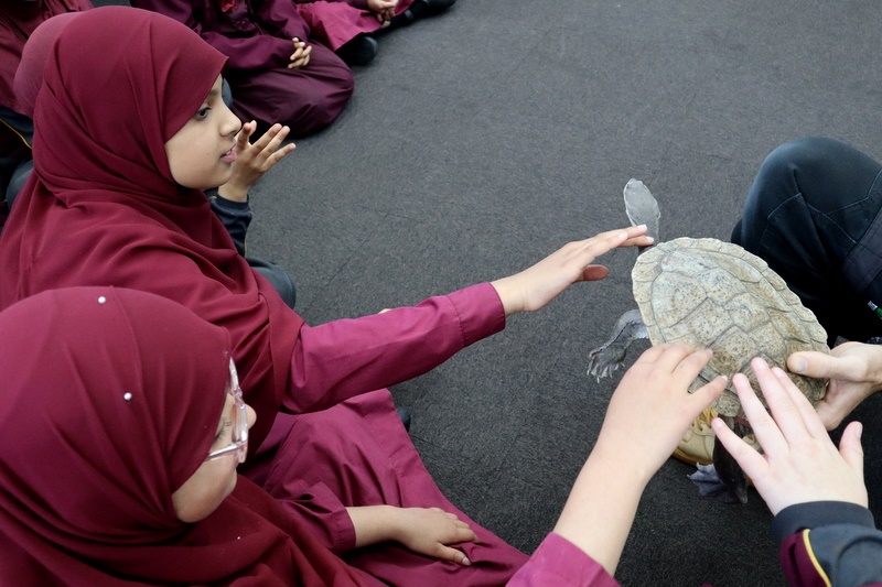 Year 4 Wildlife Xposure Incursion