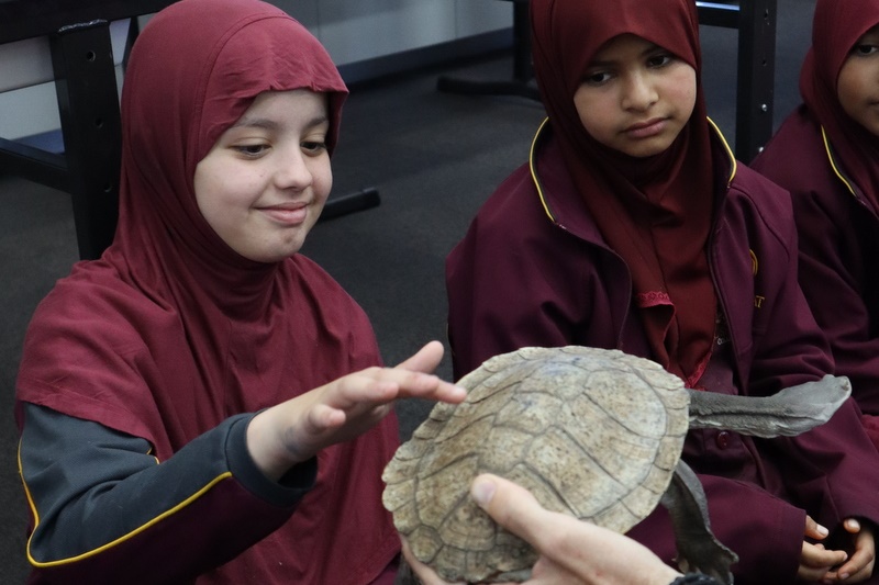 Year 4 Wildlife Xposure Incursion