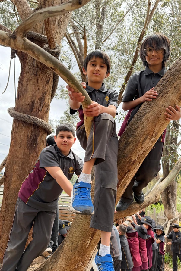 Year 3 Excursion: Zero Waste