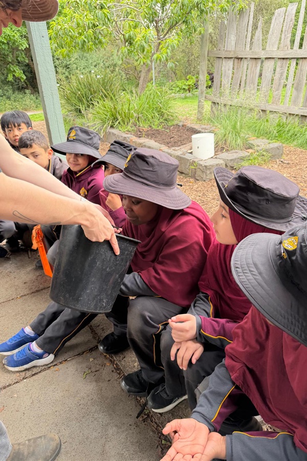 Year 3 Excursion: Zero Waste