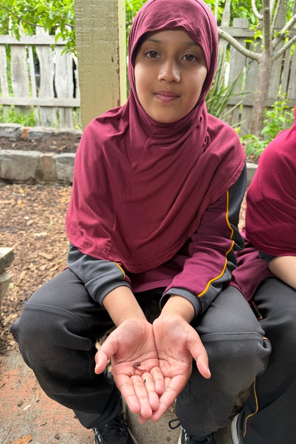 Year 3 Excursion: Zero Waste