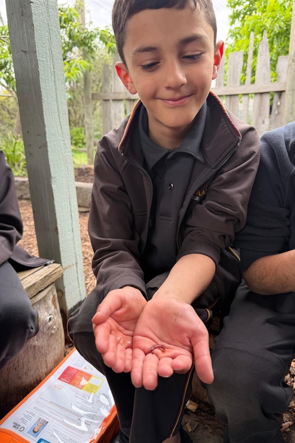 Year 3 Excursion: Zero Waste