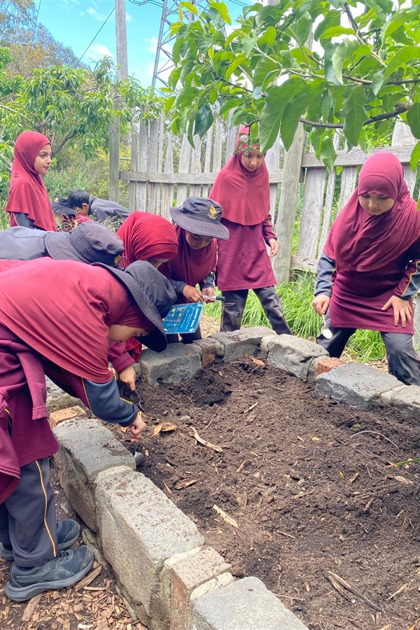 Year 3 Excursion: Zero Waste