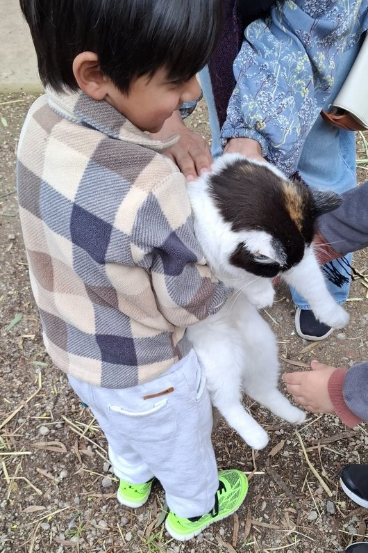 Islamic Storytime: End of 2025 Celebration