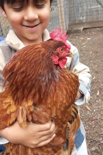 Islamic Storytime: End of 2025 Celebration