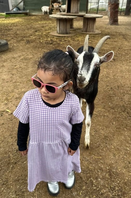 Islamic Storytime: End of 2025 Celebration