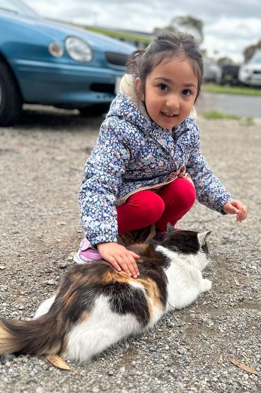 Islamic Storytime: End of 2025 Celebration