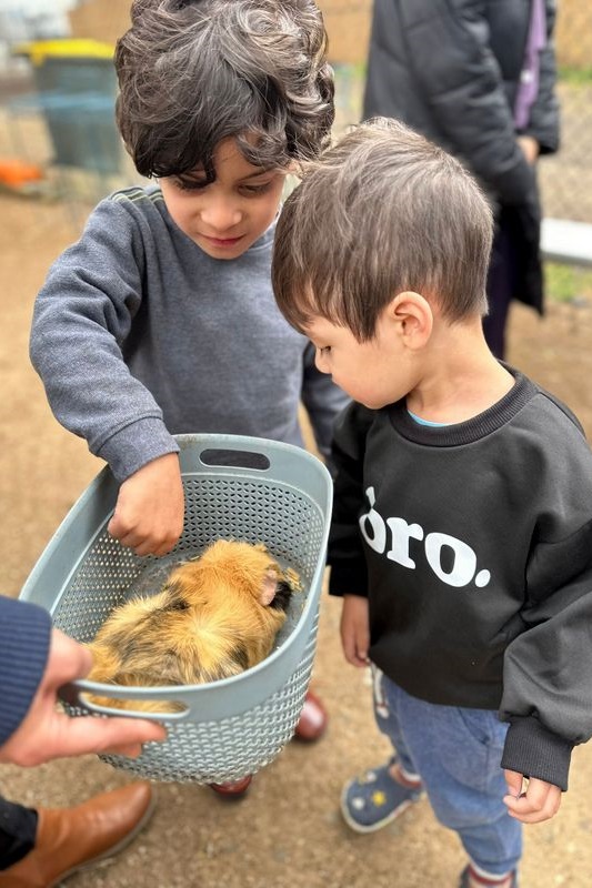 Islamic Storytime: End of 2025 Celebration