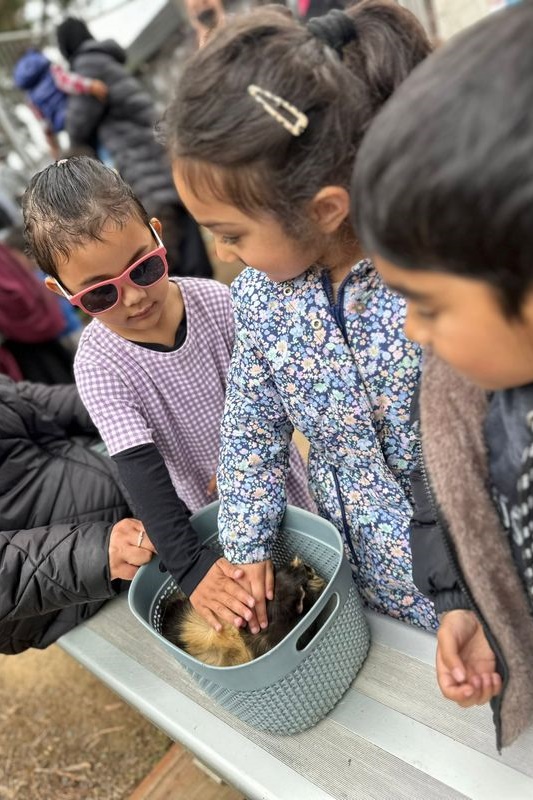 Islamic Storytime: End of 2025 Celebration