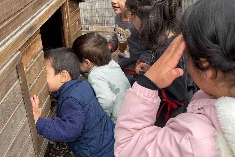 Islamic Storytime: End of 2025 Celebration