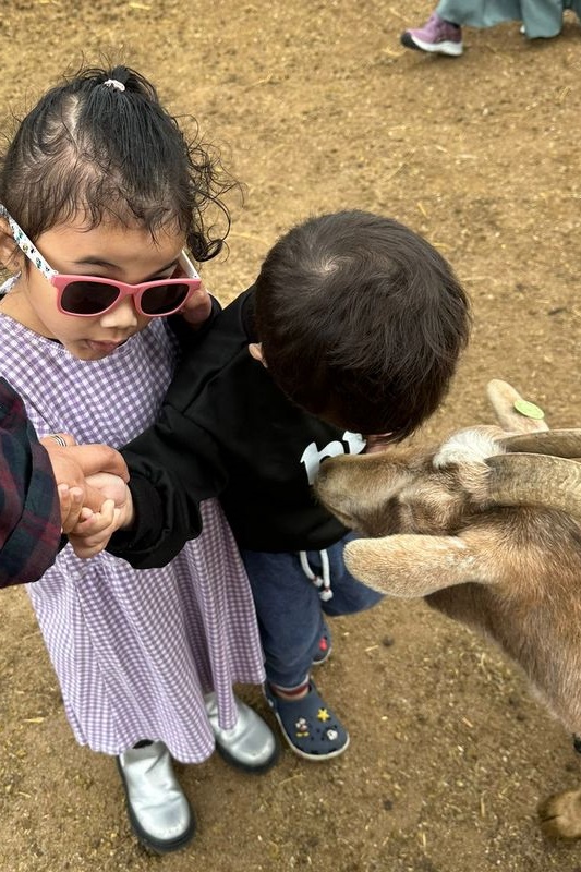 Islamic Storytime: End of 2025 Celebration