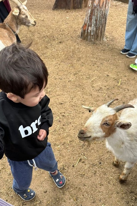 Islamic Storytime: End of 2025 Celebration