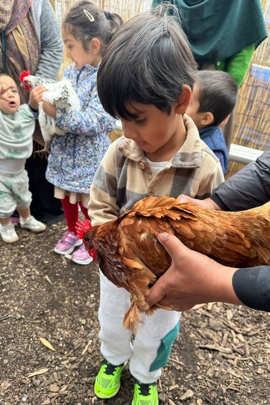 Islamic Storytime: End of 2025 Celebration