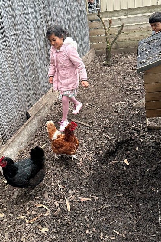 Islamic Storytime: End of 2025 Celebration