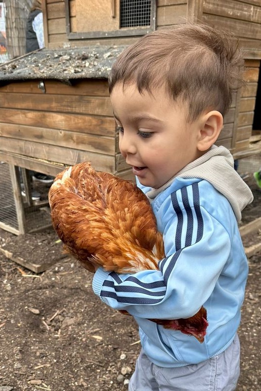 Islamic Storytime: End of 2025 Celebration