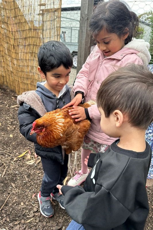 Islamic Storytime: End of 2025 Celebration